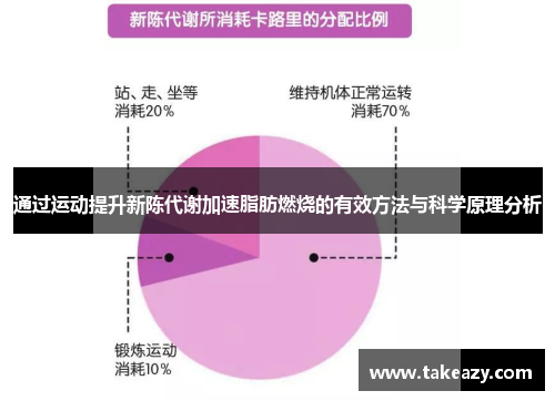 通过运动提升新陈代谢加速脂肪燃烧的有效方法与科学原理分析