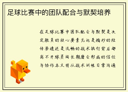 足球比赛中的团队配合与默契培养
