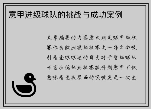 意甲进级球队的挑战与成功案例
